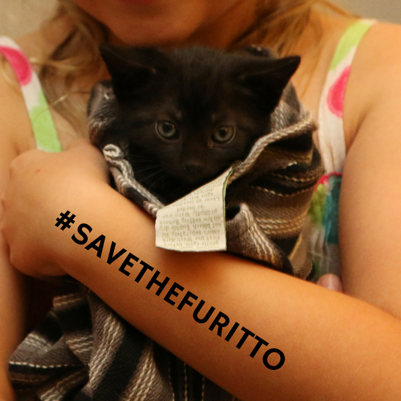 Save The Furitto to Promote Awareness for Animal Shelter or Rescue Pet Adoption